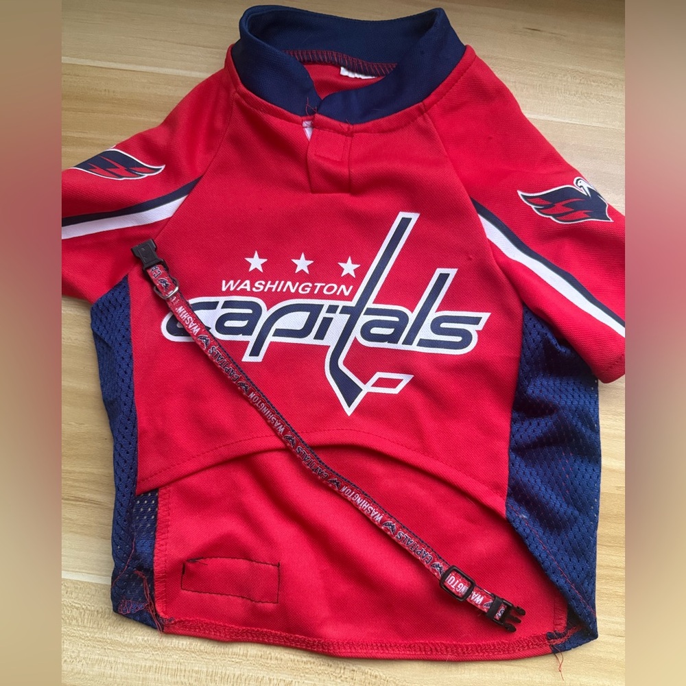 Washington Capitals Hockey Merch set for dogs